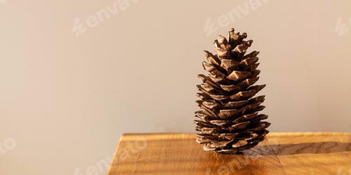 Preview: A large pine cone on a wooden table in natural light. Minimalism. Eco concept. Copy space.