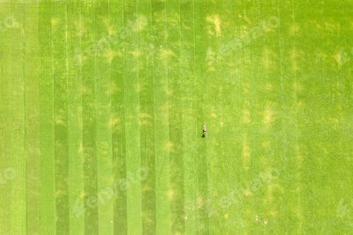 Preview: Aerial view of small figure of man worker trimming green grass with mowing mashine on football