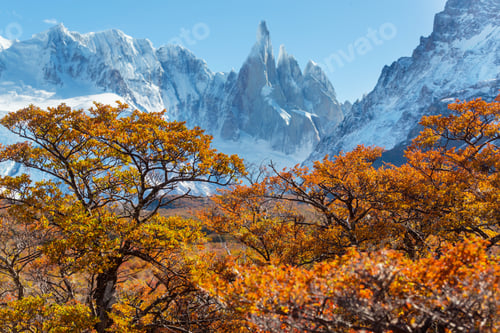 Preview: Autumn in Patagonia
