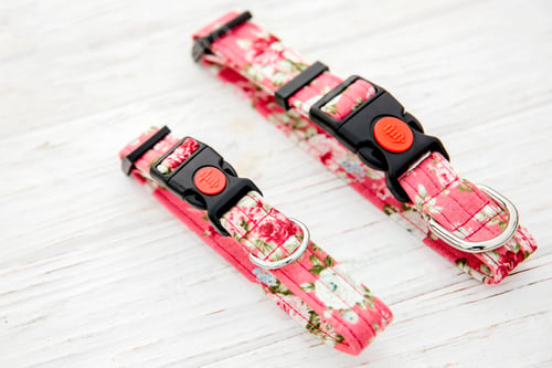 Preview: Dog Collar and Leash set. Pet Supplies and Walking Gear Collection