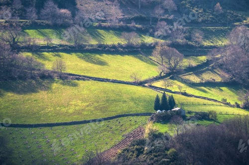 Preview: A small rural chapel with a cemetery among pastures