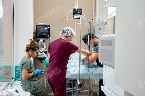 Preview: Pet operation in operating theatre with surgeon in vet surgery