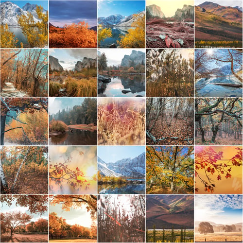 Preview: Autumn collage