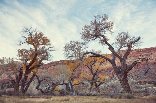 Preview: Autumn in Utah