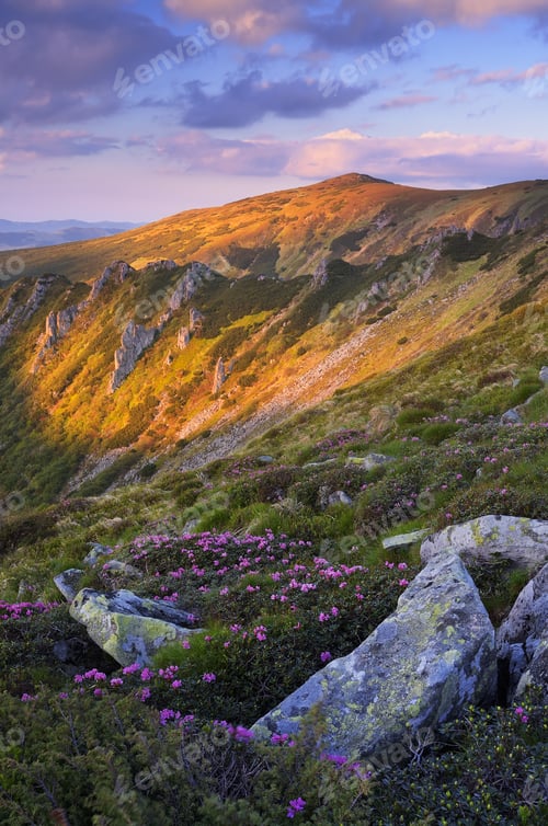 Preview: Evening in the Mountains