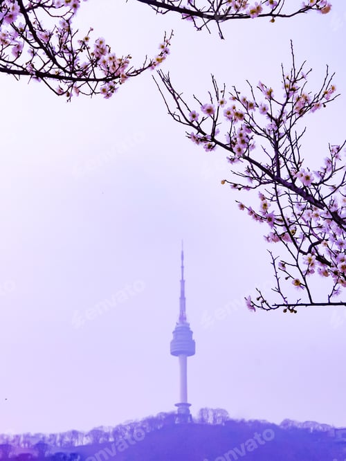Preview: Cherry blossoms with Seoul cityscape