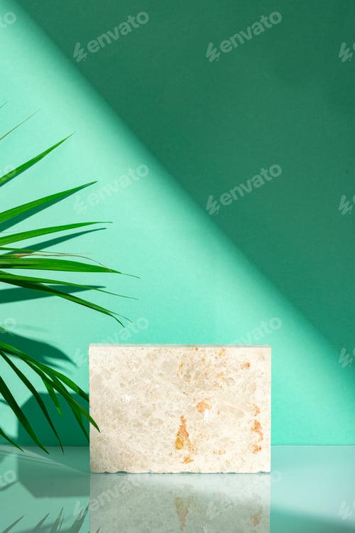 Preview: Tropical leaves palm tree on a mint background