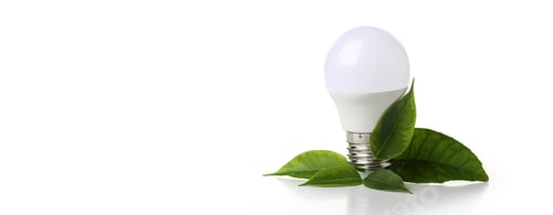 Preview: Energy saving bulb with leaves isolated on white background.