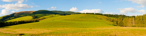 Preview: Panoramic Photo of Rolling Hills in Southern Lakes, South Island New Zealand