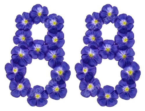 Preview: Arabic numeral 88, eighty eight, from blue flowers of flax, isolated on white background