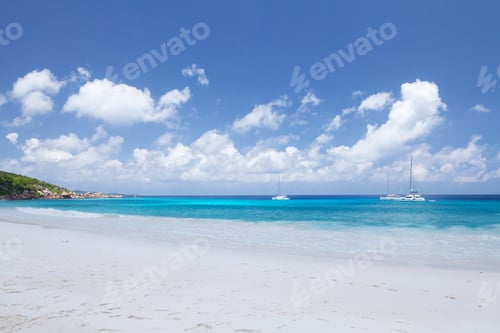 Preview: Tropical beach with palm trees