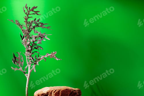 Preview: Mock up stone podium against green background
