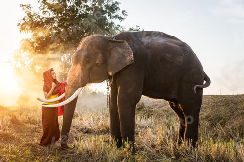 Preview: Elephant and woman in Thailand