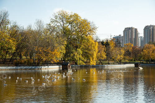Preview: An autumn, sunny park in a big city, with a beautiful lake