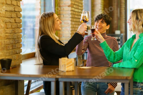 Preview: Glad girlfriends clinking glasses near bar window