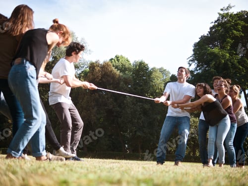 Preview: large group of friends enjoying a summer day at the park, back to school