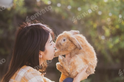 Preview: beautiful pretty portrait of young Asian woman person with cute rabbit in pet and animal care