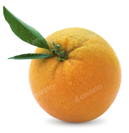 Preview: wet orange