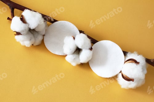 Preview: Cotton Branch with Makeup Pads on Yellow Background. Natural Beauty and Skin Care Concept.