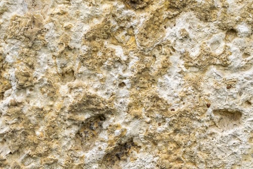 Preview: light limestone with interesting texture visible. background