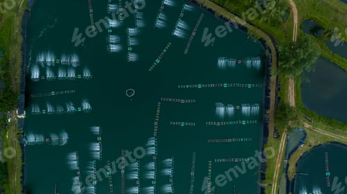 Preview: prawn farm with aerator pump in front. Business of raising animals for export. Aquaculture