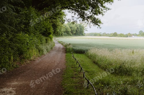 Preview: Beautiful view of the road between the field and the park.