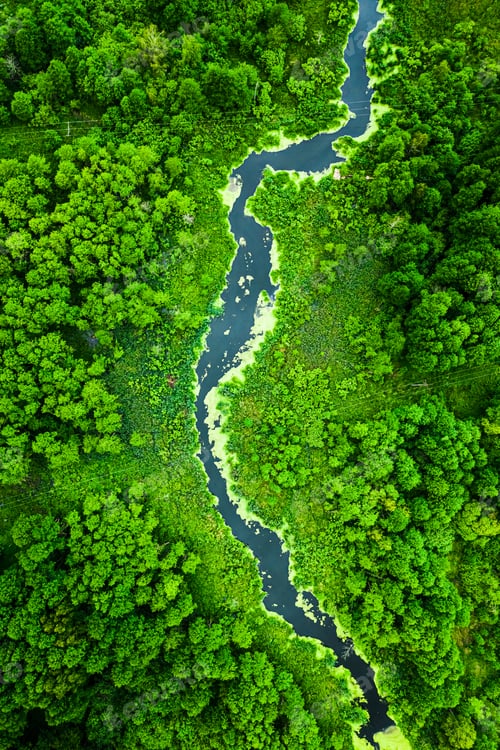 Preview: Top view of green algae on river in spring, Poland