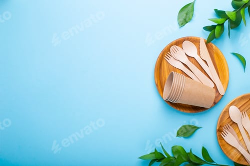 Preview: Eco-friendly tableware for food with green leaves