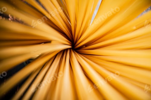 Preview: Round bundle of spaghetti dry.