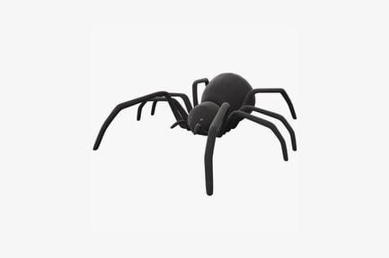 Black spider with symmetrical leg arrangement
