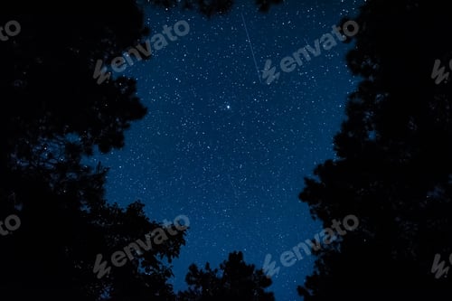Preview: View of the starry sky in the forest