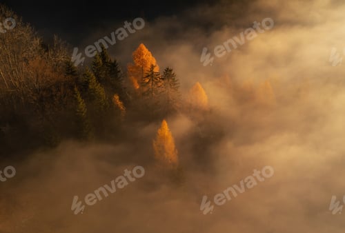 Preview: Autumn morning