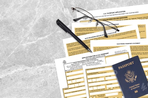 Preview: Department of State form DS11 Application for a U
