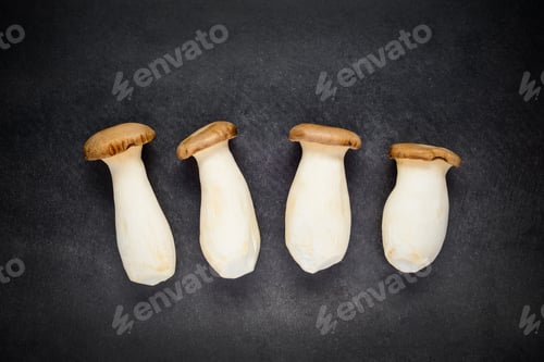 Preview: Pleurotus Eryngii Edible Mushroom