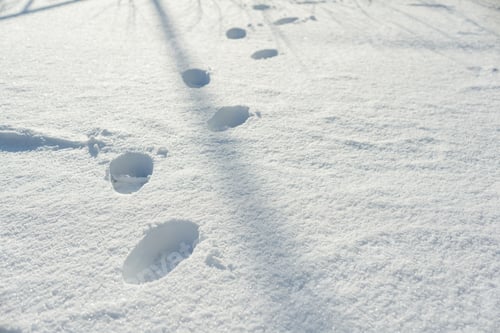 Preview: White clear snow glistening on sunny bright winter day with human footprints