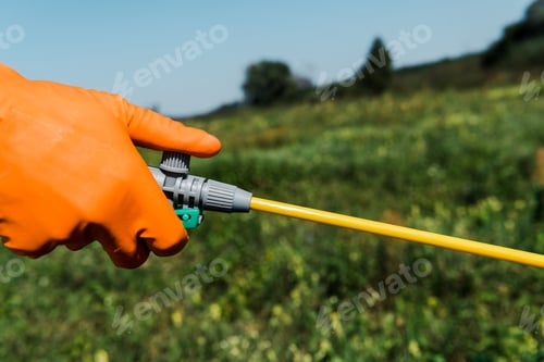 Preview: cropped view of exterminator in latex glove holding spray outside