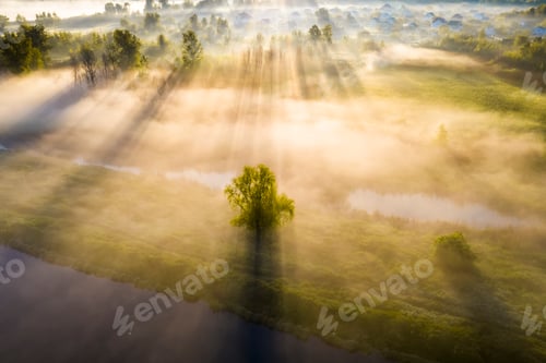 Preview: Beautiful misty dawn in the spring on the river