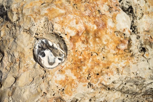 Preview: Rock texture background