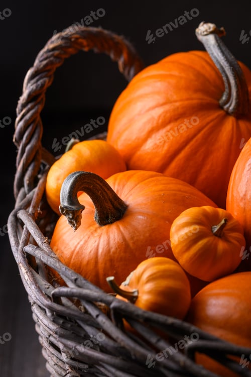 Preview: Wicker garden basket filled with different size of orange pumpkins