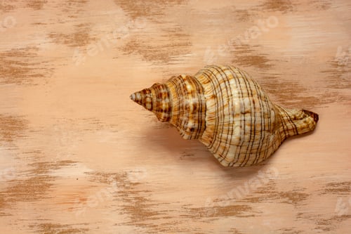 Preview: Top view of a seashell on a painted wooden surface under the lights