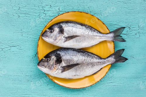 Preview: Raw fresh dorado fish on yellow plate on blue background. Top view.