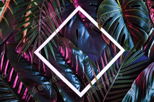 Preview: Tropical Leaves with White Geometric Diamond Shape