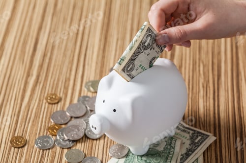 Preview: White piggy bank and US dollars