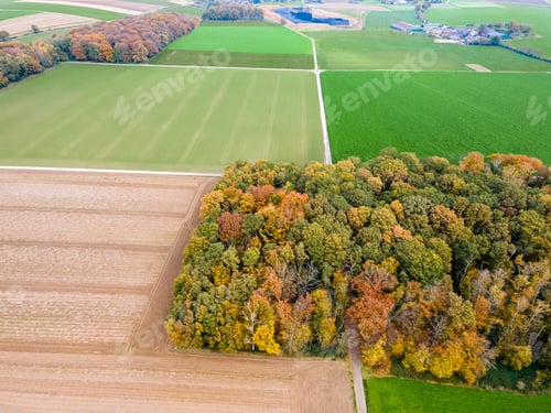 Preview: Aerial view of agricultural fields. fields at farmland. drone photo