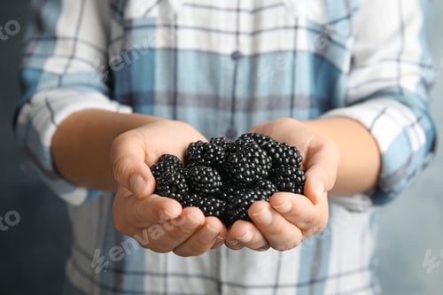 Preview: Young woman with handful of ripe blackberries, closeup
