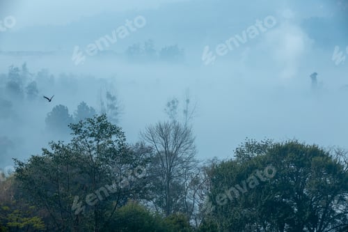 Preview: Foggy