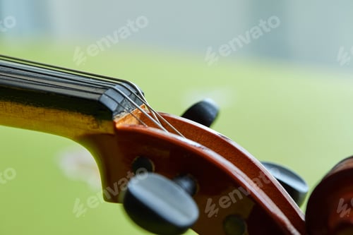Preview: Violin head on green background