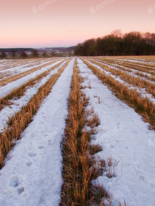 Preview: A photo of a winter landscape