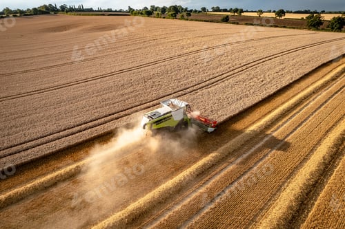 Preview: Wheat Harvest