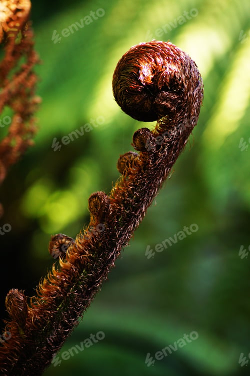 Preview: Plant on a green background